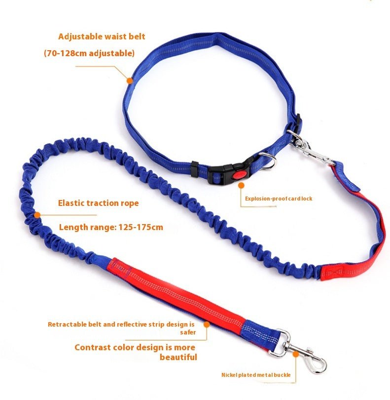 Fast selling new factory fitness belt, nylon dog rope sports pet products, dog running reflex traction rope - fitforgesho