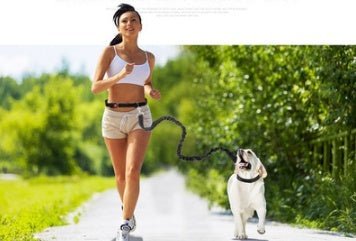 Fast selling new factory fitness belt, nylon dog rope sports pet products, dog running reflex traction rope - fitforgesho